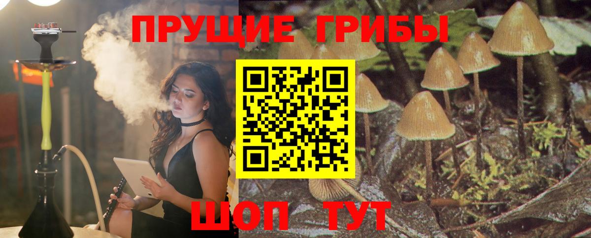 Псилоцибиновые грибы Psilocybine cubensis Можга