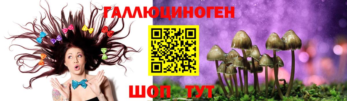 Псилоцибиновые грибы GOLDEN TEACHER  Вход с VPN  Можга 
